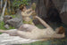 Nymphe dei boschi e un giovane Bacco - Victor Schivert — vista dell’opera