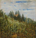 Vignoble d'été à Pillnitz - Carl Gustav Carus — vista dell’opera