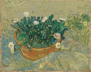 Margherite ad Arles - Vincent van Gogh — vista dell’opera