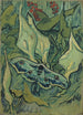 Papillon imperatore - Vincent van Gogh — vista dell’opera