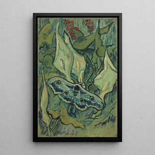 Vincent van Gogh - Emperor moth.webp