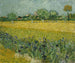 Campo di fiori vicino ad Arles - Vincent van Gogh — vista dell’opera