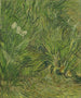 Giardino delle farfalle - Vincent van Gogh — vista dell’opera