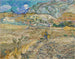 Paesaggio a Saint-Rémy Campo chiuso con contadino - Vincent van Gogh — vista dell’opera