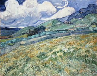 Paesaggio di Saint-Rémy - Vincent van Gogh — vista dell’opera