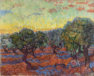 Uliveto a Saint-Rémy - Vincent van Gogh — vista dell’opera