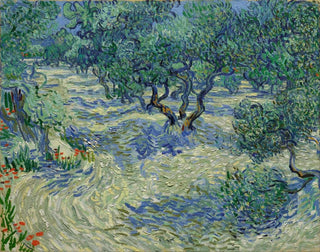 Verger d'oliviers - Vincent van Gogh — vista dell’opera