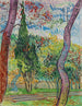 Parco dell'ospedale Saint-Paul - Vincent van Gogh — vista dell’opera