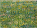 Tâche d'herbe - Vincent van Gogh — vista dell’opera