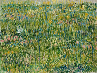 Tâche d'herbe - Vincent van Gogh — vista dell’opera