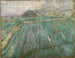 Pioggia - Vincent van Gogh — vista dell’opera