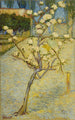 Petit poirier en fleurs - Vincent van Gogh — vista dell’opera