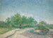 Place Saint-Pierre Parigi - Vincent van Gogh — vista dell’opera