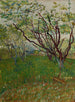Le Verger en fleurs - Vincent van Gogh — vista dell’opera