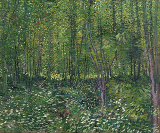 Alberi e sottobosco - Vincent van Gogh — vista dell’opera