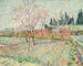 Verger con cipressi - Vincent van Gogh — vista dell’opera