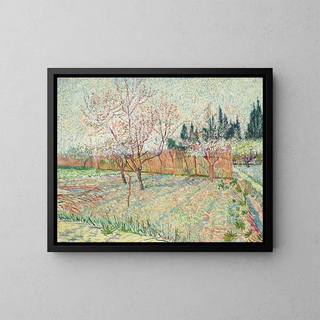 Verger con cipressi - Vincent van Gogh — quadro incorniciato alla parete