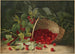 Frutti di bosco - Virginia Granberry — vista dell’opera