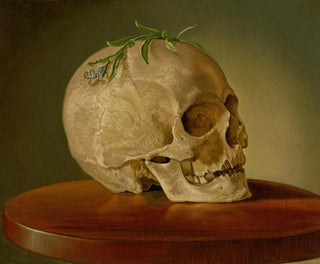 Natura morta con un cranio e un forget-me-not - Vojtech Klimkovič — vista dell’opera