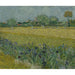 Riproduzione del dipinto Vista di Arles con iris - Vincent van Gogh