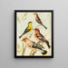 Siskin, cardellino, jaseur, bec - incrociato - W. A. Blakston — quadro incorniciato alla parete