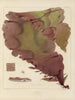 Botanico crittogamico del viaggio in Antartide delle navi HM Discovery Erebus e Terror negli anni 1839 Pl17 - Walter Hood Fitch — vista dell’opera