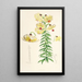 Lilium Monadelphum - Walter Hood Fitch — quadro incorniciato alla parete