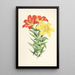 Lilium elegans var incomparabile - Walter Hood Fitch — quadro incorniciato alla parete