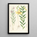 Lilium oxypetalum - Walter Hood Fitch — quadro incorniciato alla parete