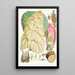 Rheum Nobile Hfand T - Walter Hood Fitch — quadro incorniciato alla parete