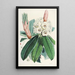Les Rhododendrons de l'Himalaya de Sikkim Pl09 - Walter Hood Fitch — quadro incorniciato alla parete