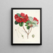 Les Rhododendrons du Sikkim Himalaya Pl12 - Walter Hood Fitch — quadro incorniciato alla parete