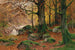 Paesaggio forestale autunnale - Walter Moras — vista dell’opera
