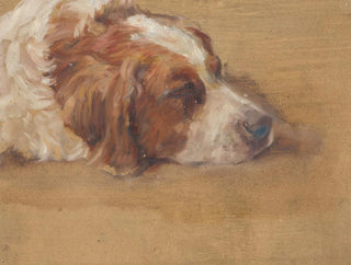 Studio di un cane - Walther Gamerith — vista dell’opera