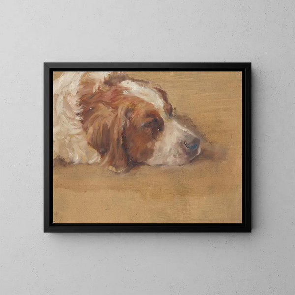 Studio di un cane - Walther Gamerith — quadro incorniciato alla parete