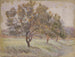 Albero da frutta - Walther Gamerith — vista dell’opera