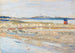 Plage de Tunis - Wassily Kandinsky — vista dell’opera