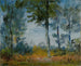 Frangia della foresta - Wilhelm Busch — vista dell’opera
