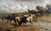 Mandria di bovini vicino a un punto d'acqua in un paesaggio vasto - Wilhelm Frey — vista dell’opera