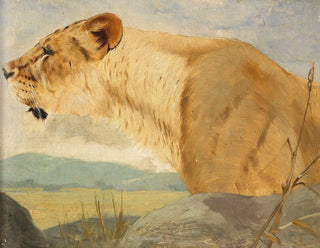 Wilhelm Kuhnert - Head of a Lioness.webp