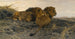 Lions in veglia - Wilhelm Kuhnert — vista dell’opera