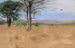 Africa Orientale - Wilhelm Kuhnert — vista dell’opera