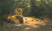 La Tanière des lions - Wilhelm Kuhnert — vista dell’opera