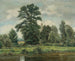 Paesaggio di paludi - Wilhelm Legler — vista dell’opera