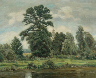 Paesaggio di paludi - Wilhelm Legler — vista dell’opera