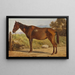 Rosinante, studio di un vecchio cavallo in piedi - Wilhelm Marstrand — quadro incorniciato alla parete
