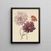 Dahlias - Willem Hekking — quadro incorniciato alla parete