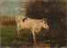 Vache blanche - Willem Maris — vista dell’opera
