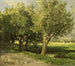 Alberi di salice - Willem Roelofs — vista dell’opera