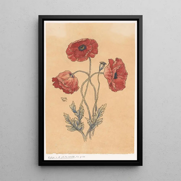 Willem Wenckebach - Klaprozen.webp